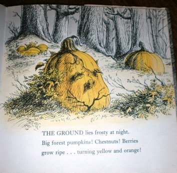 Big forest pumpkins!