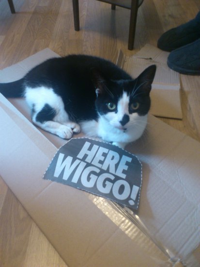 Betty says, "Here Wiggo!" Betty says, "Here Wiggo!"