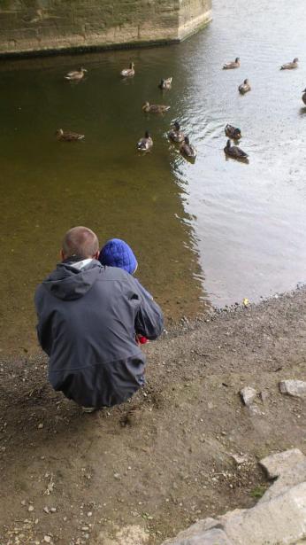 DSC_0455_zps6cae0127 (1)