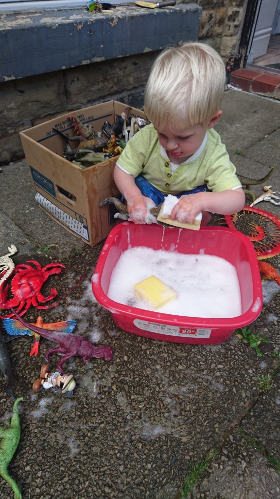 Washing animals activity