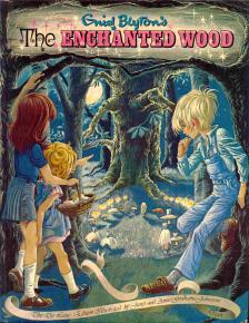 the-enchanted-wood-3